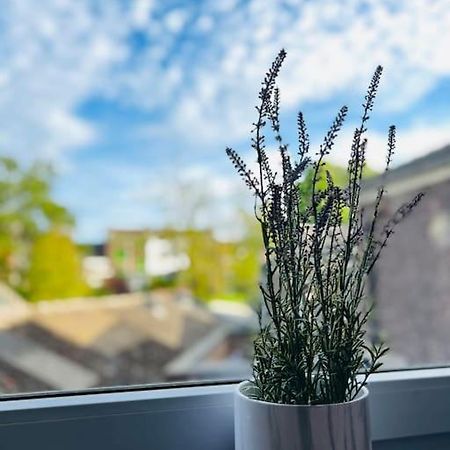 Charmant Petit Appartement. Liège Zewnętrze zdjęcie