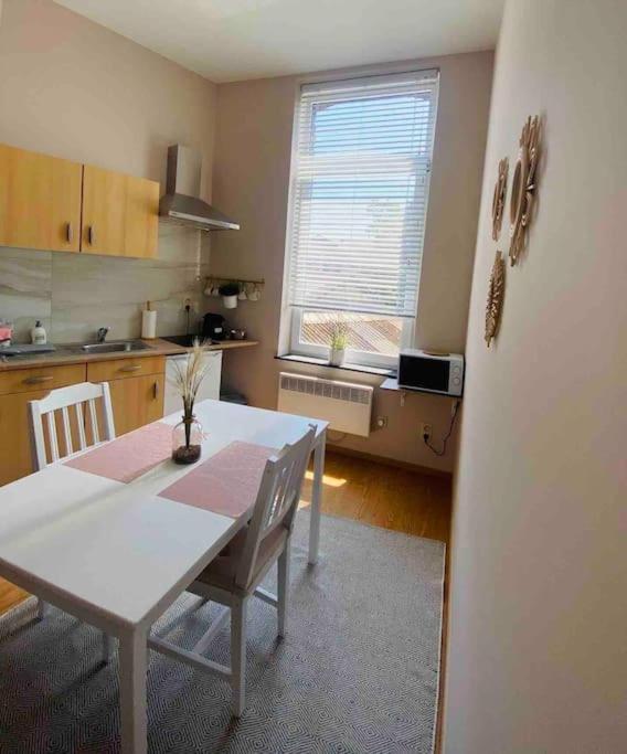 Charmant Petit Appartement. Liège Zewnętrze zdjęcie