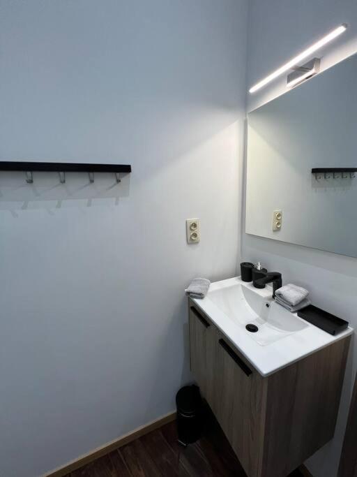 Charmant Petit Appartement. Liège Zewnętrze zdjęcie