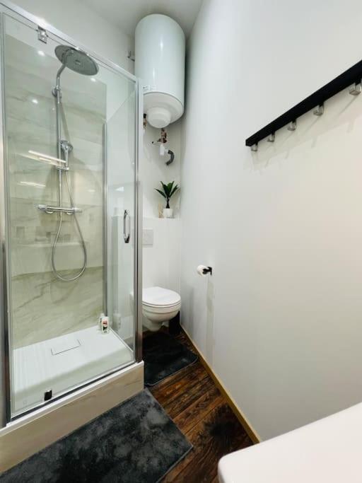 Charmant Petit Appartement. Liège Zewnętrze zdjęcie